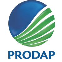 Load Prodap